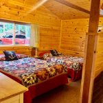 cabin-2-2